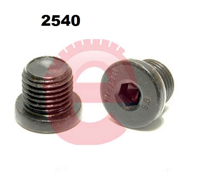 MANGUEIRA DO RADIADOR