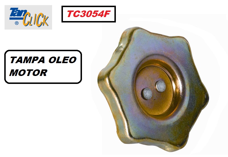 TERMINAL DE DIRECAO LE